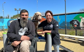 Bruno, el perro de rastreo que dio nombre a la nueva plaza de San Fernando