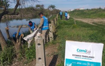 Tigre: jornada de trabajo del Comité de Cuenca del Río Luján