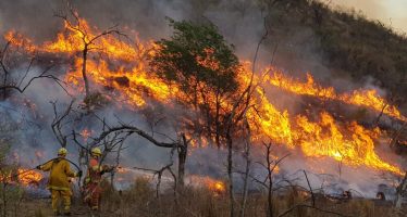 El Servicio Meteorológico Nacional lanzó un índice de «peligro de incendios» y pidió estar atentos a estos eventos