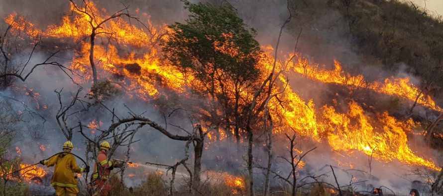 El Servicio Meteorológico Nacional lanzó un índice de «peligro de incendios» y pidió estar atentos a estos eventos