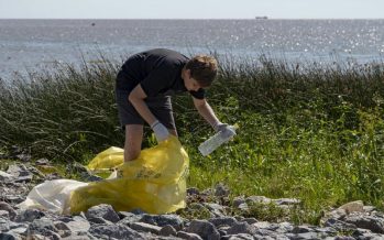 Conciencia ambiental: estudiantes limpiaron las costas de San Isidro