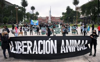Según la ONU, El veganismo «no para de crecer» y es la alimentación más sostenible