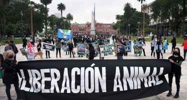 Según la ONU, El veganismo «no para de crecer» y es la alimentación más sostenible