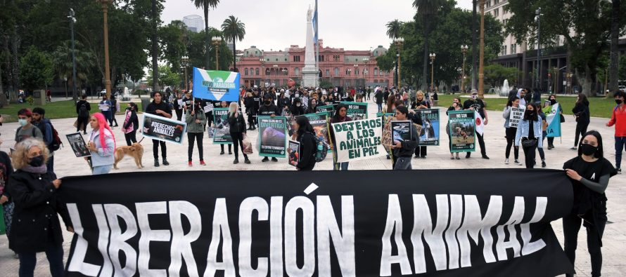 Según la ONU, El veganismo «no para de crecer» y es la alimentación más sostenible