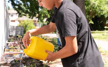 Taller de gobernanza ambiental y compostaje para estudiantes de Tigre