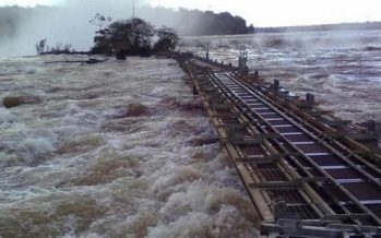 Destacaron apoyo del Gobierno a productores por el impacto de la crecida del río Paraná