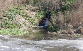 Llamado a indagatoria por contaminación ambiental del presidente de un matadero ubicado en Merlo
