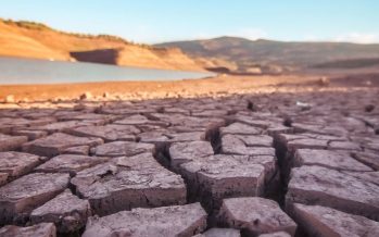 Conferencia sobre el Cambio Climático COP28: lo que hay que saber