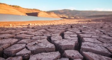 Conferencia sobre el Cambio Climático COP28: lo que hay que saber