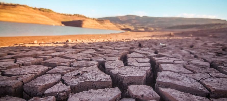 Conferencia sobre el Cambio Climático COP28: lo que hay que saber