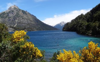 Día de los Parques Nacionales: ¿qué se conmemora hoy?