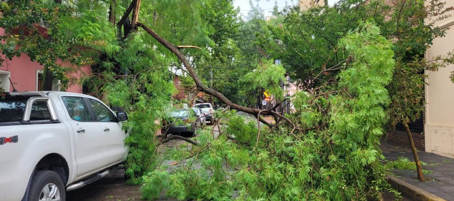 Promover la gestión del riesgo socioambiental como política de Estado