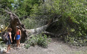 La Provincia lanzó una línea de crédito para los isleños afectados por el temporal