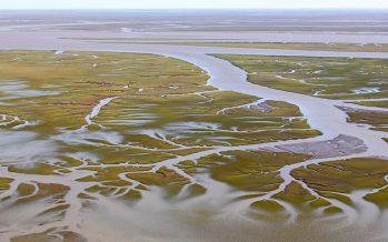 Bahía Blanca: suspenden las operaciones de la empresa Oiltanking por nuevo derrame de petróleo