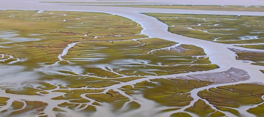Bahía Blanca: ambientalistas calificaron como «muy grave» el derrame de petróleo