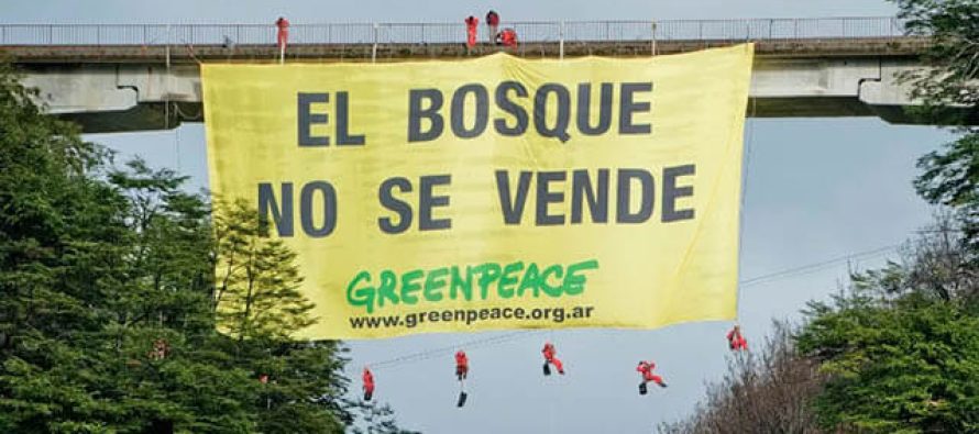 Para Greenpeace, «las leyes ambientales continúan en peligro» aún con las modificaciones