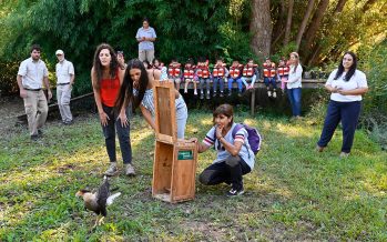 Reinsertaron especies de fauna nativa en la Reserva Municipal Carapachay en el Delta de Tigre