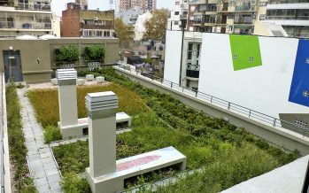 Techos verdes: una alternativa ante las lluvias urbanas en exceso