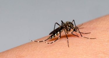 Nuevo informe epidemiológico sobre la situación del dengue en nuestra región