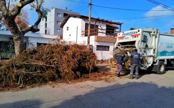 Escobar: cronograma del Sistema de Recolección de Ramas para esta semana