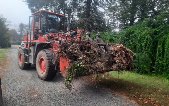 Cronograma de recolección de ramas en Escobar para esta semana
