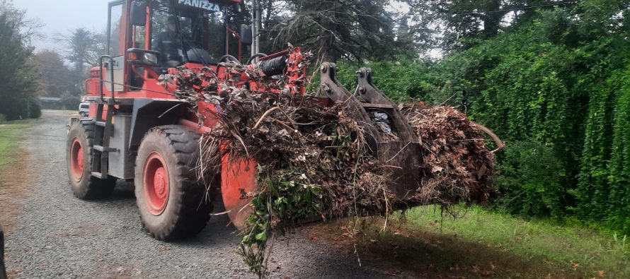 Cronograma de recolección de ramas en Escobar para esta semana