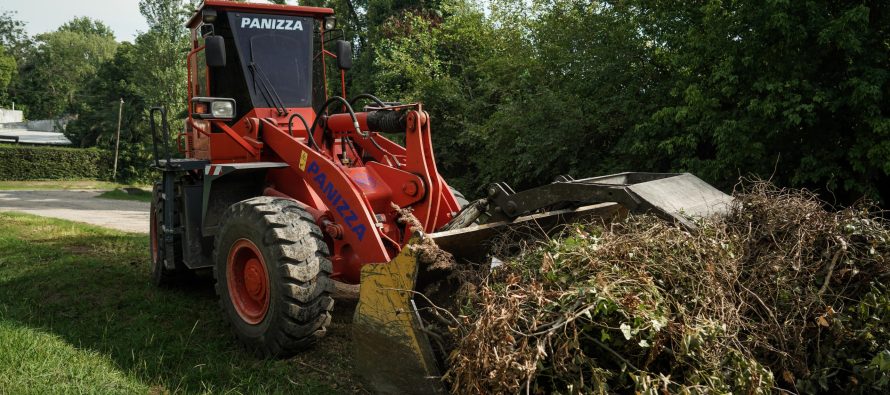 Cronograma para la recolección de ramas de esta semana en Escobar