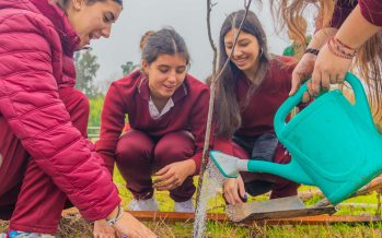 Escuelas sanfernandinas ayudan a cuidar la Reserva Ecológica Educativa “EcoParque”