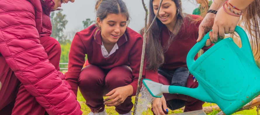 Escuelas sanfernandinas ayudan a cuidar la Reserva Ecológica Educativa “EcoParque”