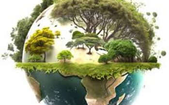 Día del Ambiente: ¡Afuera!