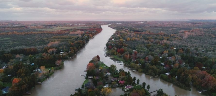 Investigación internacional: el Delta del Paraná se hunde más rápido que el nivel del mar