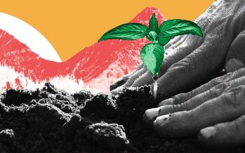 Hoy se conmemora el Día Mundial del Ambiente