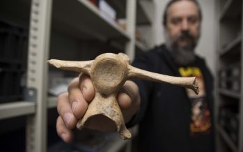 Cuenca Reconquista: encuentran la evidencia de presencia humana más antigua de Sudamérica