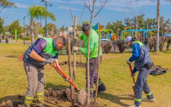 San Fernando: jornada de forestación en el Día Nacional del Árbol