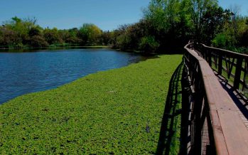 11 de mayo: Día de los Parques y Reservas Naturales Bonaerenses