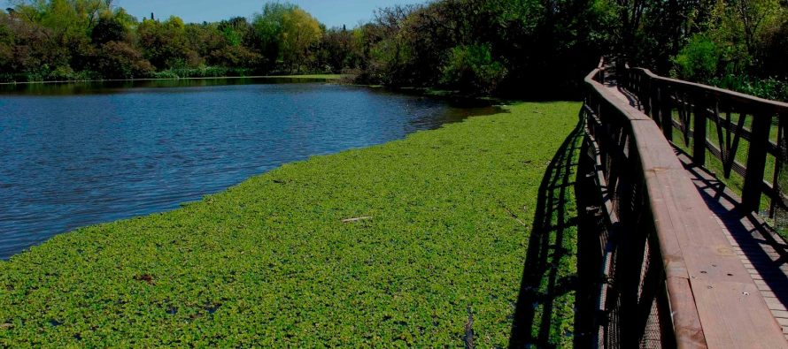11 de mayo: Día de los Parques y Reservas Naturales Bonaerenses
