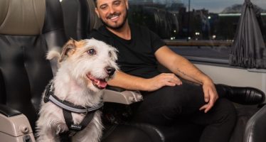 Familia Ampliada: el servicio que incorporó FlechaBus para viajar con mascotas