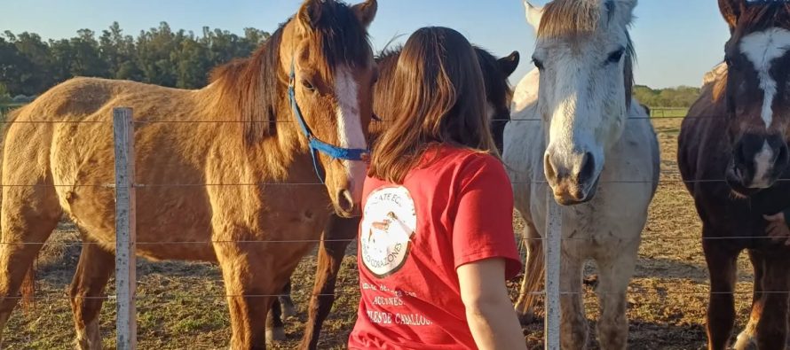 Proteccionistas piden que en San Miguel se elimine la tracción a sangre y las jineteadas