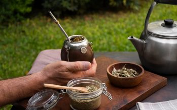 El mate: un clásico argentino con beneficios y precauciones