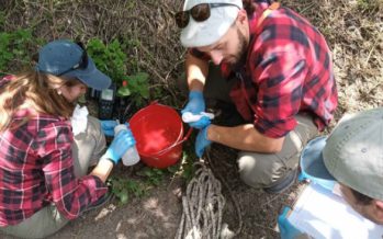 Cuenca Reconquista: se realizó el muestreo de macroinvertebrados y peces
