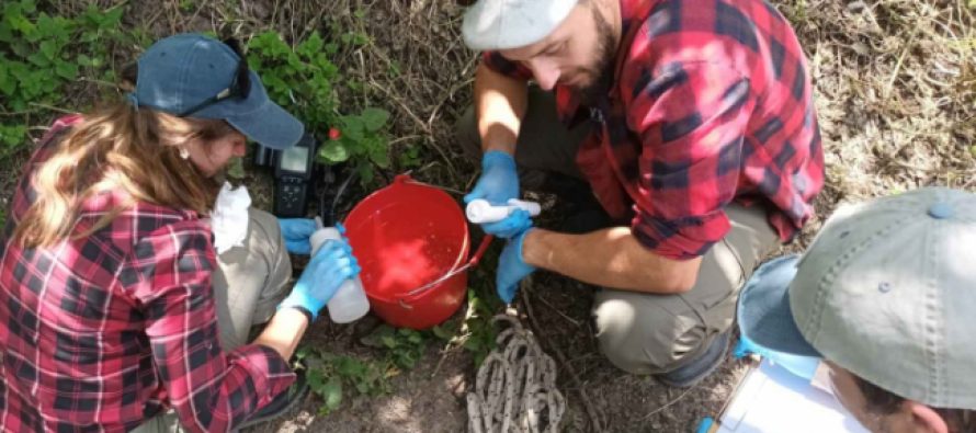 Cuenca Reconquista: se realizó el muestreo de macroinvertebrados y peces