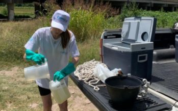 Realizan controles en cursos de agua del Río Luján