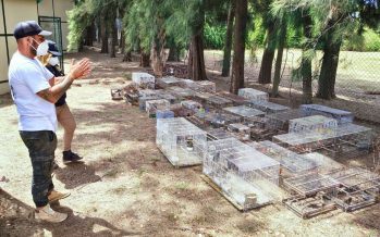 La Fundación Temaikèn recibió 353 aves rescatadas del tráfico ilegal