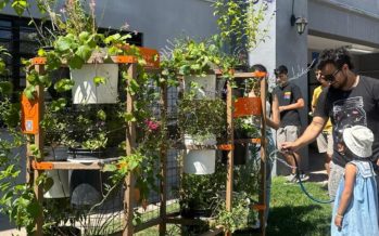 Cómo el diseño industrial transforma las ciudades con soluciones naturales