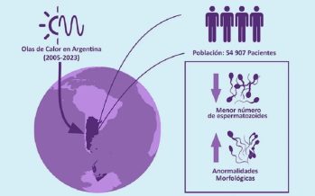 Comprueban que las olas de calor pueden reducir la fertilidad masculina