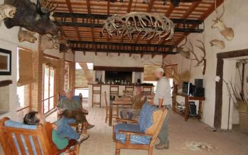 Caza & Safari: investigan lo que podría ser el caso más grande de tráfico de fauna en Argentina