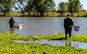 El COMIREC monitorea la calidad del agua del Río Reconquista
