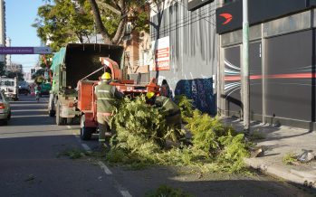 Vecinos de Vicente López ya pueden solicitar la poda del 2025