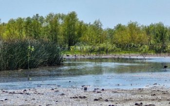 Obras en las reservas naturales de la Cuenca Alta del Reconquista