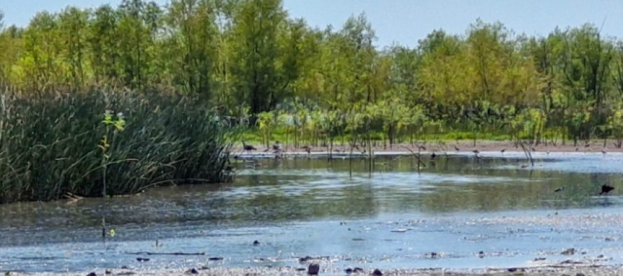 Obras en las reservas naturales de la Cuenca Alta del Reconquista